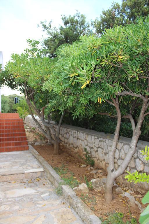 ماندري Apartments Baka Jelka المظهر الخارجي الصورة